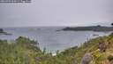 ./images/calvert/foggy-cove/20260709/foggy-cove20260709_065001M.jpg