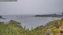 ./images/calvert/foggy-cove/20260709/foggy-cove20260709_071502M.jpg