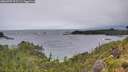 ./images/calvert/foggy-cove/20260709/foggy-cove20260709_073501M.jpg