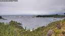 ./images/calvert/foggy-cove/20260709/foggy-cove20260709_074001M.jpg