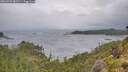 ./images/calvert/foggy-cove/20260709/foggy-cove20260709_082501M.jpg