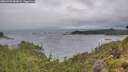 ./images/calvert/foggy-cove/20260709/foggy-cove20260709_083001M.jpg