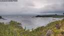 ./images/calvert/foggy-cove/20260709/foggy-cove20260709_083501M.jpg