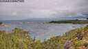 ./images/calvert/foggy-cove/20260709/foggy-cove20260709_084001M.jpg