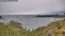 ./images/calvert/foggy-cove/20260709/foggy-cove20260709_085501M.jpg