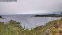 ./images/calvert/foggy-cove/20260709/foggy-cove20260709_090501M.jpg