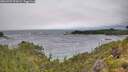 ./images/calvert/foggy-cove/20260709/foggy-cove20260709_091001M.jpg