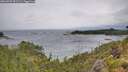 ./images/calvert/foggy-cove/20260709/foggy-cove20260709_091501M.jpg