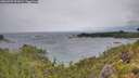 ./images/calvert/foggy-cove/20260709/foggy-cove20260709_092001M.jpg