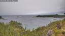 ./images/calvert/foggy-cove/20260709/foggy-cove20260709_092501M.jpg