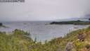 ./images/calvert/foggy-cove/20260709/foggy-cove20260709_093001M.jpg