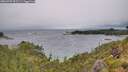 ./images/calvert/foggy-cove/20260709/foggy-cove20260709_093501M.jpg