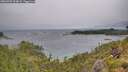 ./images/calvert/foggy-cove/20260709/foggy-cove20260709_094001M.jpg
