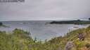 ./images/calvert/foggy-cove/20260709/foggy-cove20260709_095501M.jpg