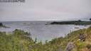 ./images/calvert/foggy-cove/20260709/foggy-cove20260709_100002M.jpg