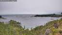 ./images/calvert/foggy-cove/20260709/foggy-cove20260709_101001M.jpg