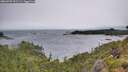 ./images/calvert/foggy-cove/20260709/foggy-cove20260709_101501M.jpg