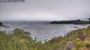 ./images/calvert/foggy-cove/20260709/foggy-cove20260709_102001M.jpg