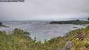 ./images/calvert/foggy-cove/20260709/foggy-cove20260709_103501M.jpg
