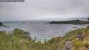 ./images/calvert/foggy-cove/20260709/foggy-cove20260709_104001M.jpg