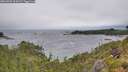 ./images/calvert/foggy-cove/20260709/foggy-cove20260709_104501M.jpg