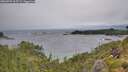 ./images/calvert/foggy-cove/20260709/foggy-cove20260709_105501M.jpg
