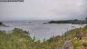 ./images/calvert/foggy-cove/20260709/foggy-cove20260709_110501M.jpg