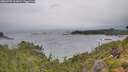 ./images/calvert/foggy-cove/20260709/foggy-cove20260709_111001M.jpg
