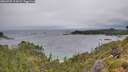 ./images/calvert/foggy-cove/20260709/foggy-cove20260709_112002M.jpg