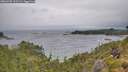 ./images/calvert/foggy-cove/20260709/foggy-cove20260709_112501M.jpg