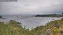 ./images/calvert/foggy-cove/20260709/foggy-cove20260709_113002M.jpg