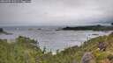 ./images/calvert/foggy-cove/20260709/foggy-cove20260709_113501M.jpg