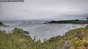 ./images/calvert/foggy-cove/20260709/foggy-cove20260709_114002M.jpg