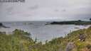 ./images/calvert/foggy-cove/20260709/foggy-cove20260709_114501M.jpg