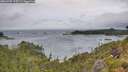./images/calvert/foggy-cove/20260709/foggy-cove20260709_115501M.jpg