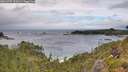 ./images/calvert/foggy-cove/20260709/foggy-cove20260709_122001M.jpg