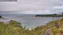 ./images/calvert/foggy-cove/20260709/foggy-cove20260709_122501M.jpg