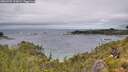 ./images/calvert/foggy-cove/20260709/foggy-cove20260709_123001M.jpg