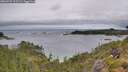 ./images/calvert/foggy-cove/20260709/foggy-cove20260709_123501M.jpg