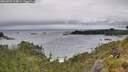 ./images/calvert/foggy-cove/20260709/foggy-cove20260709_124001M.jpg