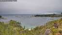 ./images/calvert/foggy-cove/20260709/foggy-cove20260709_125502M.jpg