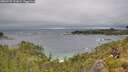 ./images/calvert/foggy-cove/20260709/foggy-cove20260709_131001M.jpg