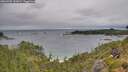 ./images/calvert/foggy-cove/20260709/foggy-cove20260709_132001M.jpg