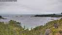 ./images/calvert/foggy-cove/20260709/foggy-cove20260709_133501M.jpg