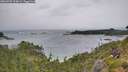 ./images/calvert/foggy-cove/20260709/foggy-cove20260709_134002M.jpg