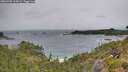 ./images/calvert/foggy-cove/20260709/foggy-cove20260709_134501M.jpg