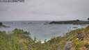 ./images/calvert/foggy-cove/20260709/foggy-cove20260709_135001M.jpg