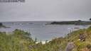 ./images/calvert/foggy-cove/20260709/foggy-cove20260709_143501M.jpg