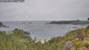 ./images/calvert/foggy-cove/20260709/foggy-cove20260709_144001M.jpg