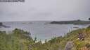 ./images/calvert/foggy-cove/20260709/foggy-cove20260709_150001M.jpg